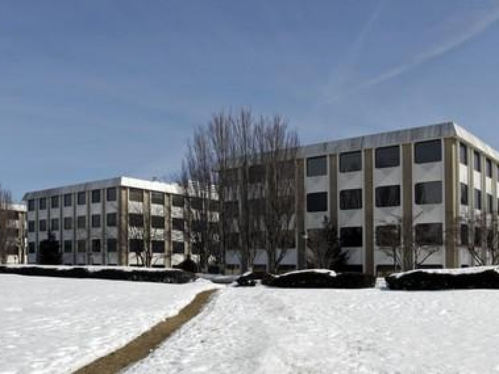Ringo- Ross Selinger Enterprises Case Study Feat Image