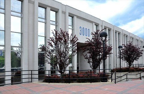 Gadge USA- Ross Selinger Enterprises Case Study Feat Image